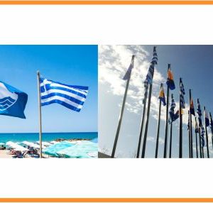 ΔΗΜΩΝ ΚΑΙ ΟΡΓΑΝΙΣΜΩΝ