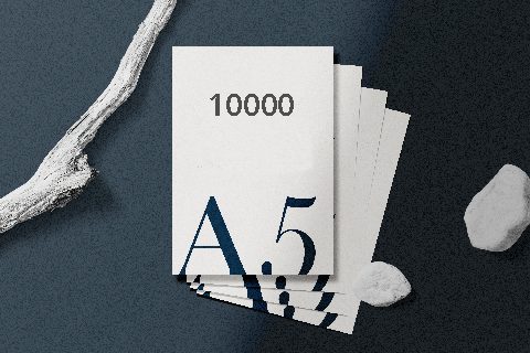10000 Έντυπα-Flyer A5 (14,7x21cm)