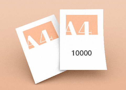 10000 Έντυπα-Flyer A4 (21x29cm)