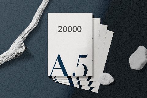 20000 Έντυπα-Flyer A5 (14,7x21cm)